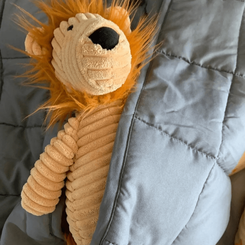 CosmicCalm™ Weighted Blanket